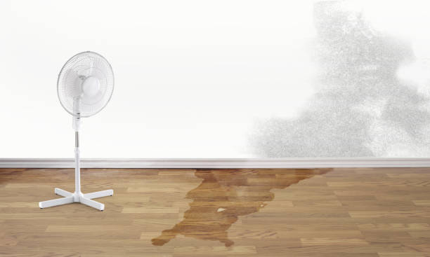 Best Flood restoration services  in Firebaugh, CA