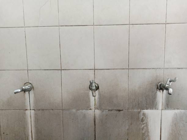Best Carpet water damage restoration  in Firebaugh, CA