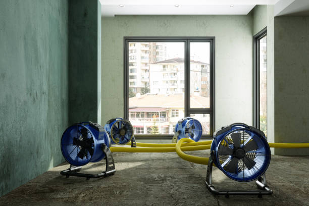 Best Flood damage cleanup  in Firebaugh, CA